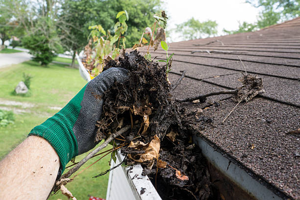 Gloved hand lifting leaves and debris out of a gutter
