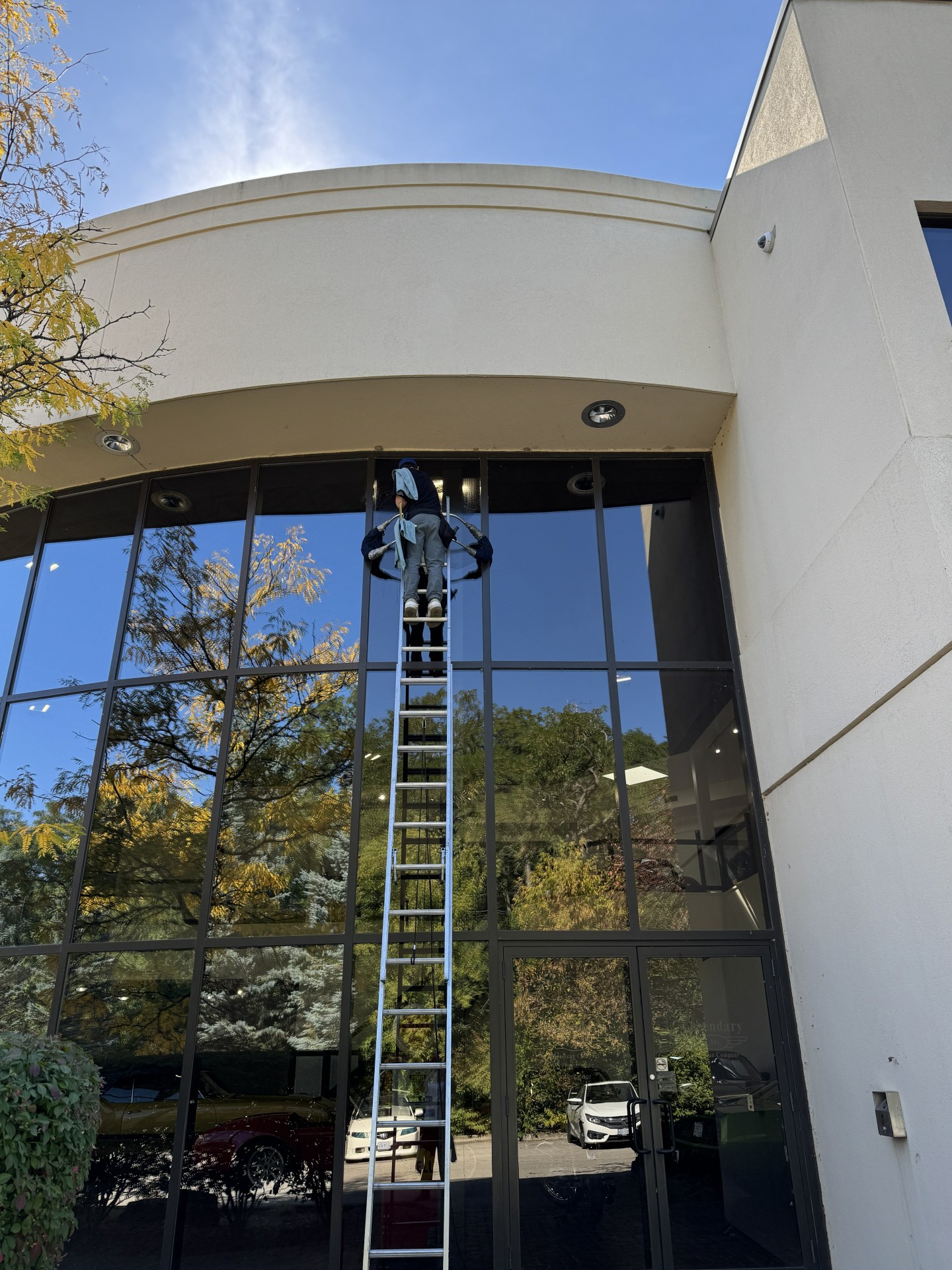 HomeTouch window cleaner on a ladder at a tall commercial glass frontage